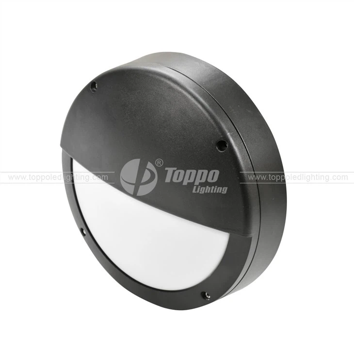 D350 Moon 2D Bulkheads Light
